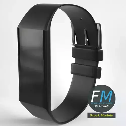 Fitness wristband