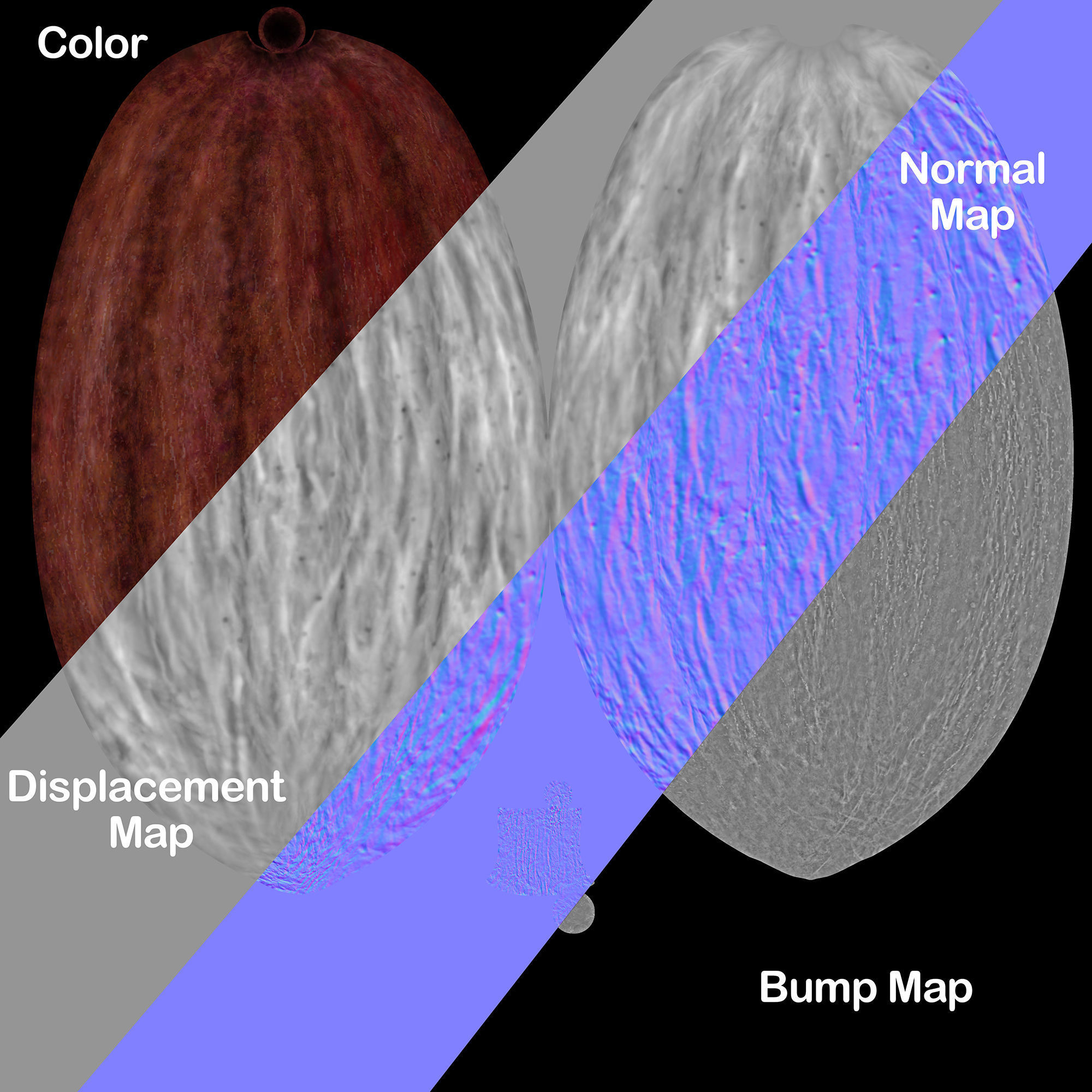 Cocoa Pod 3D model_10