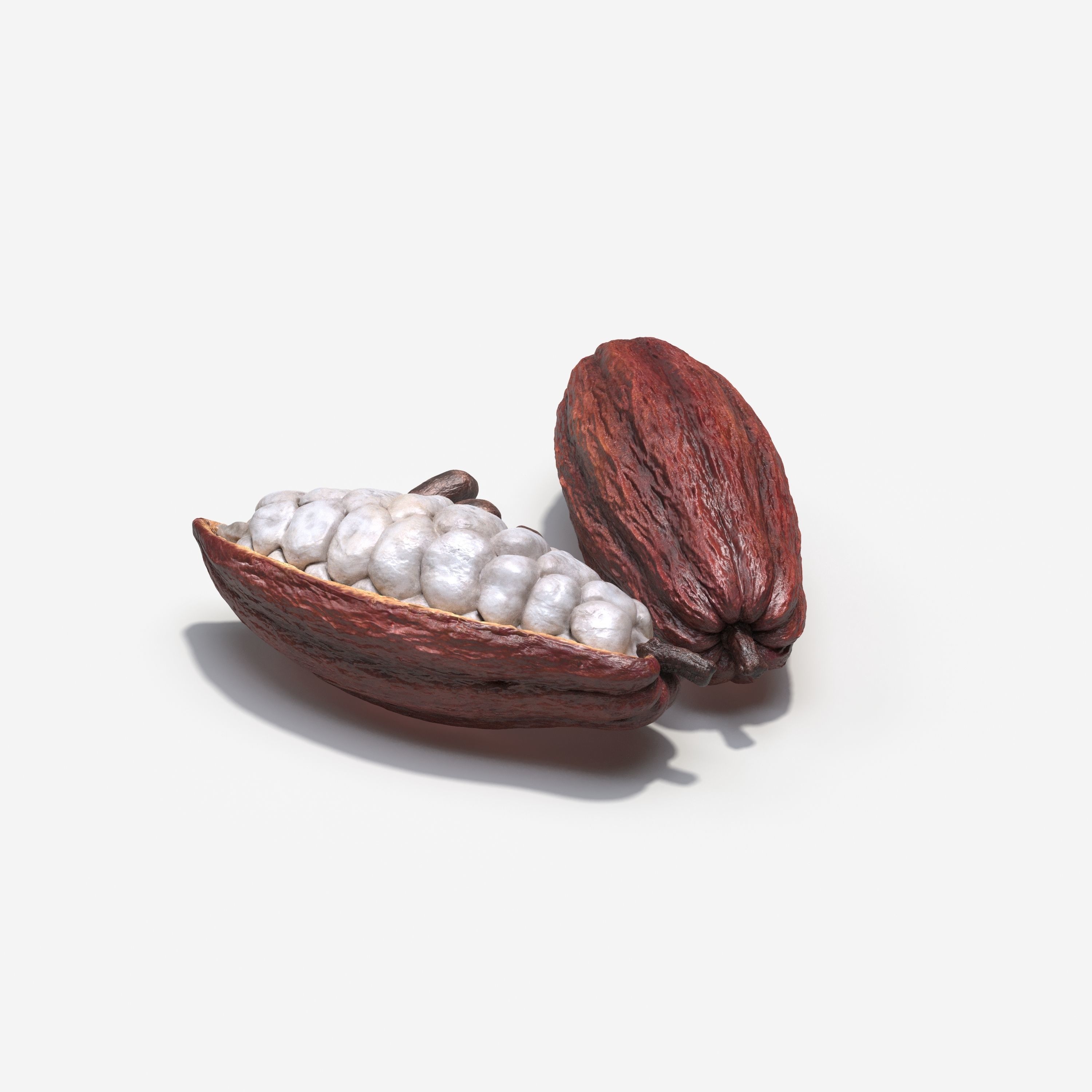 Cocoa Pod 3D model_1