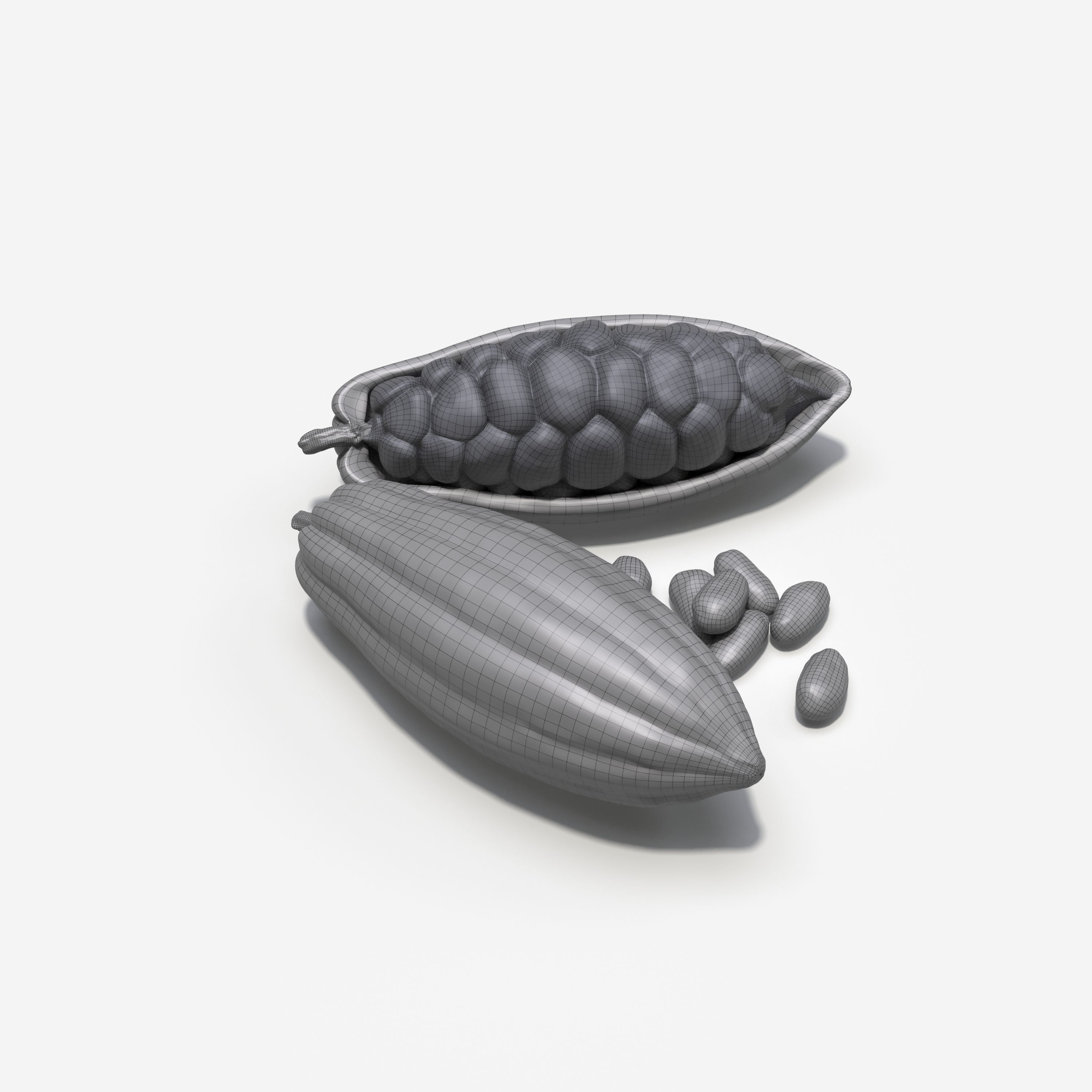 Cocoa Pod 3D model_7