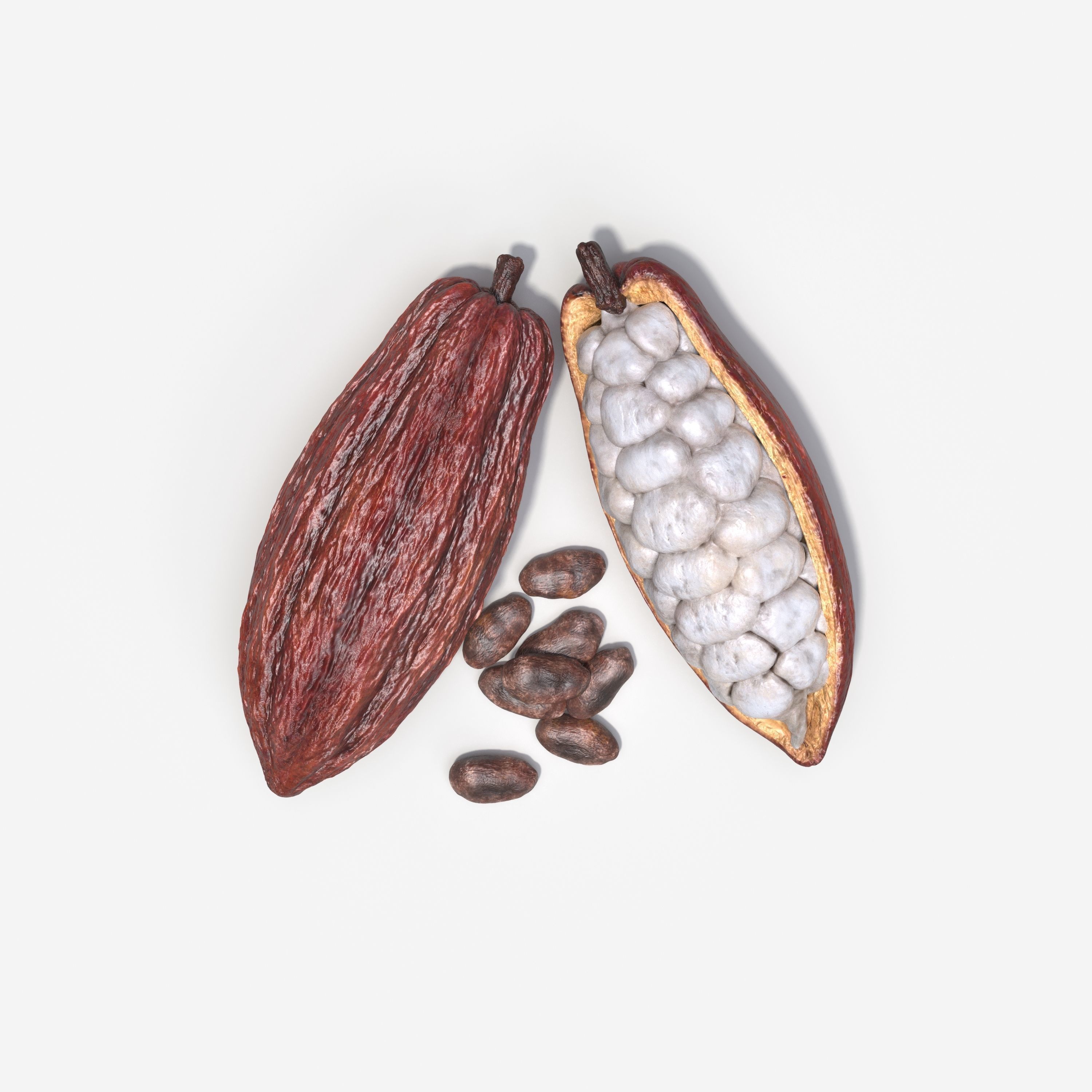 Cocoa Pod 3D model_3