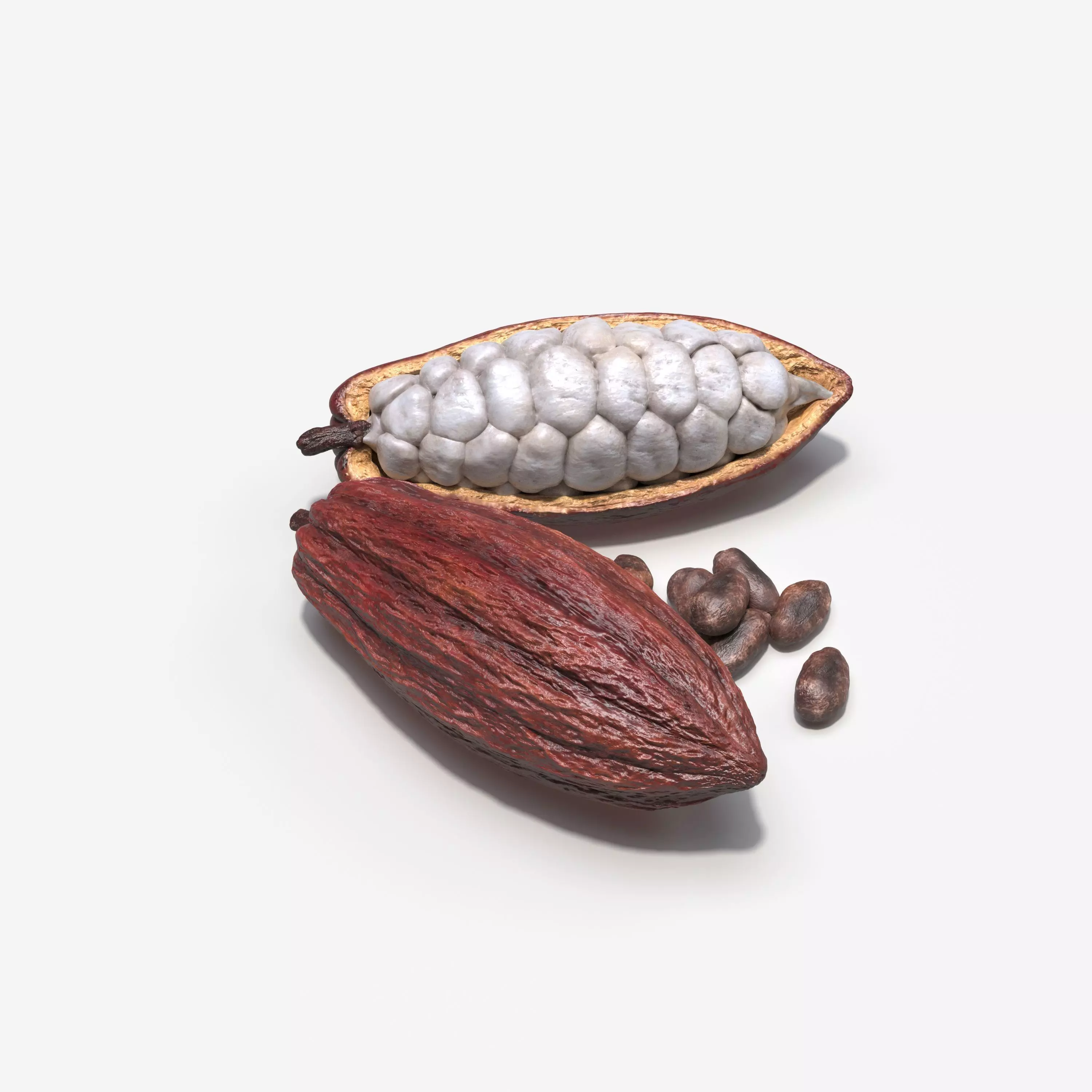 Cocoa Pod 3D model_0