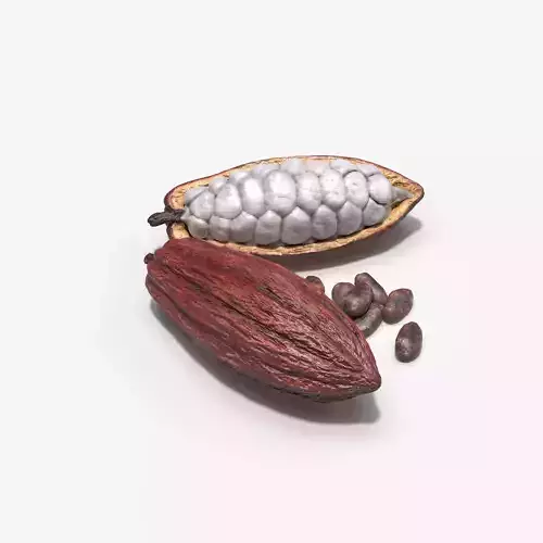 Cocoa Pod 3D model