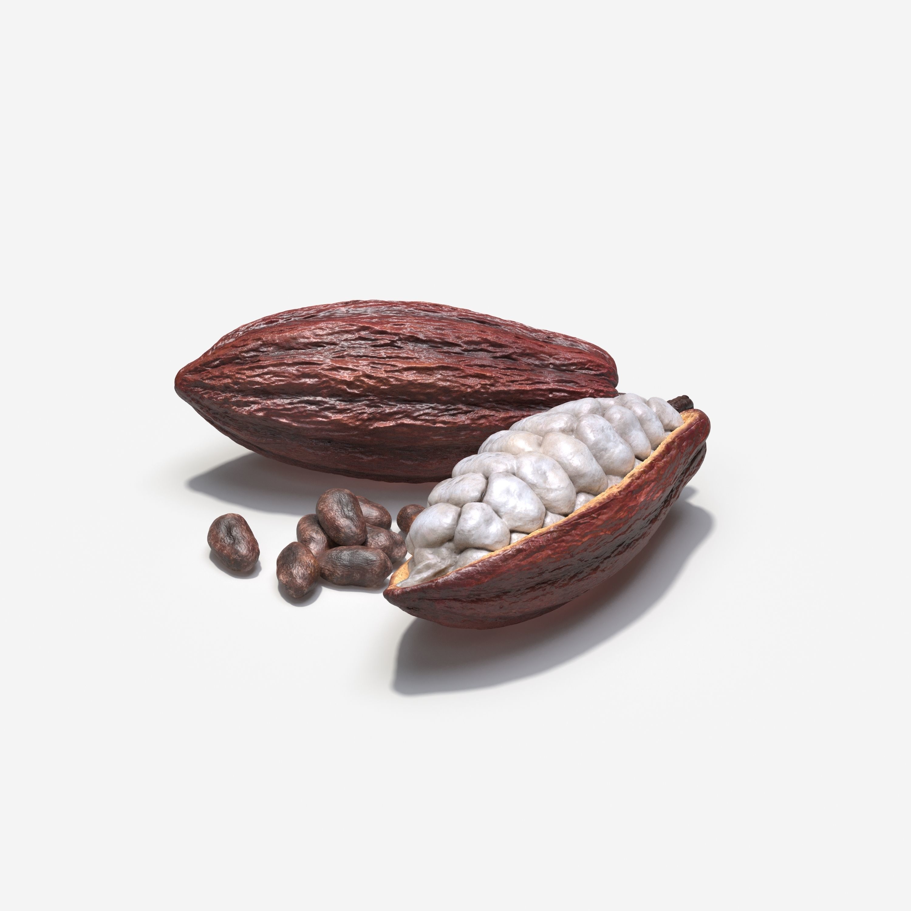 Cocoa Pod 3D model_2