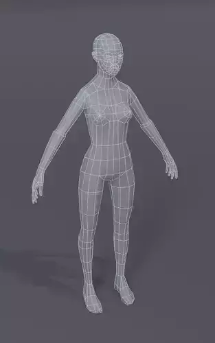 Female Body Base Mesh  3D Model 1000 Polygons Low-poly 3D model