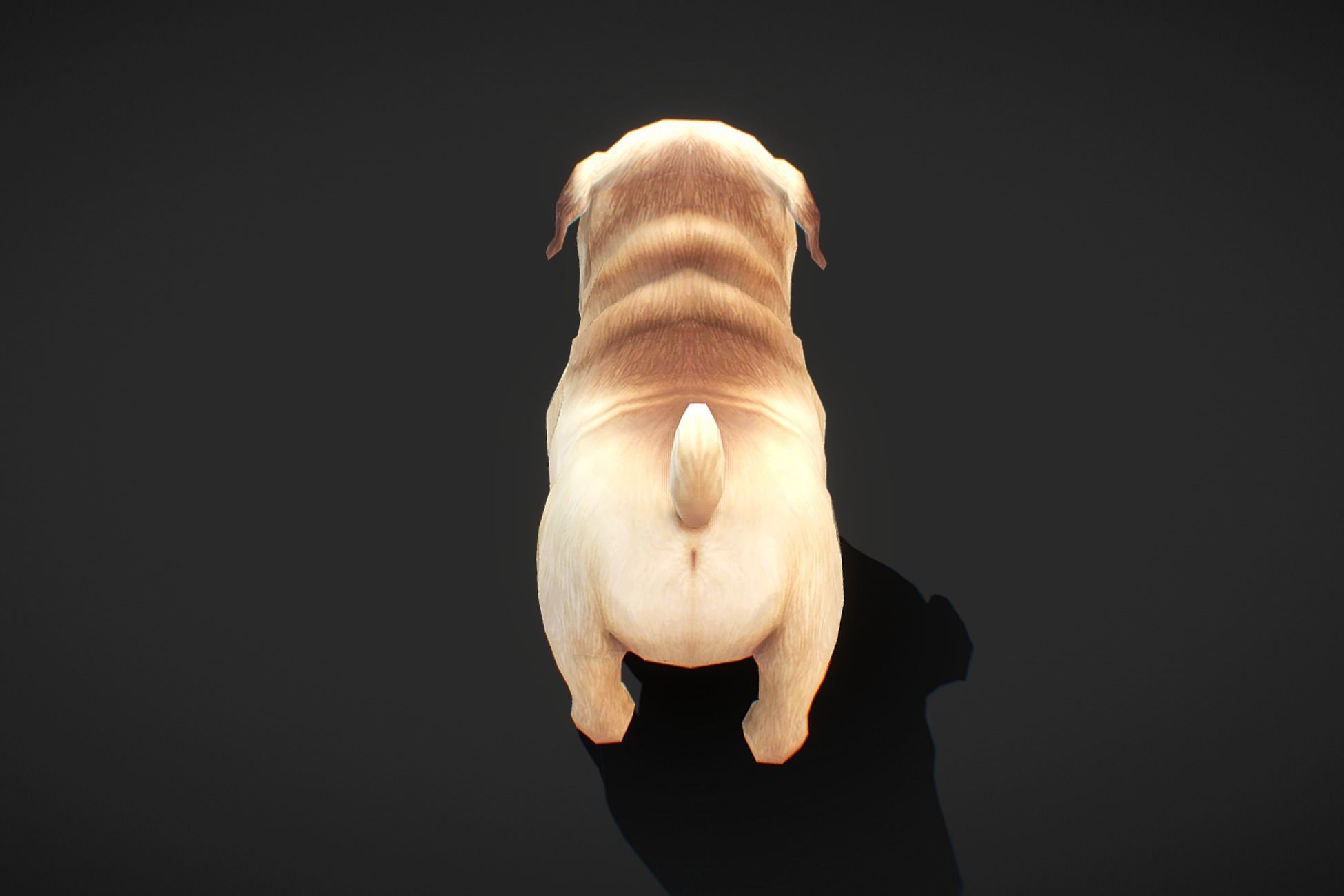 Fantasy RPG Puppy Low-poly 3D model_4