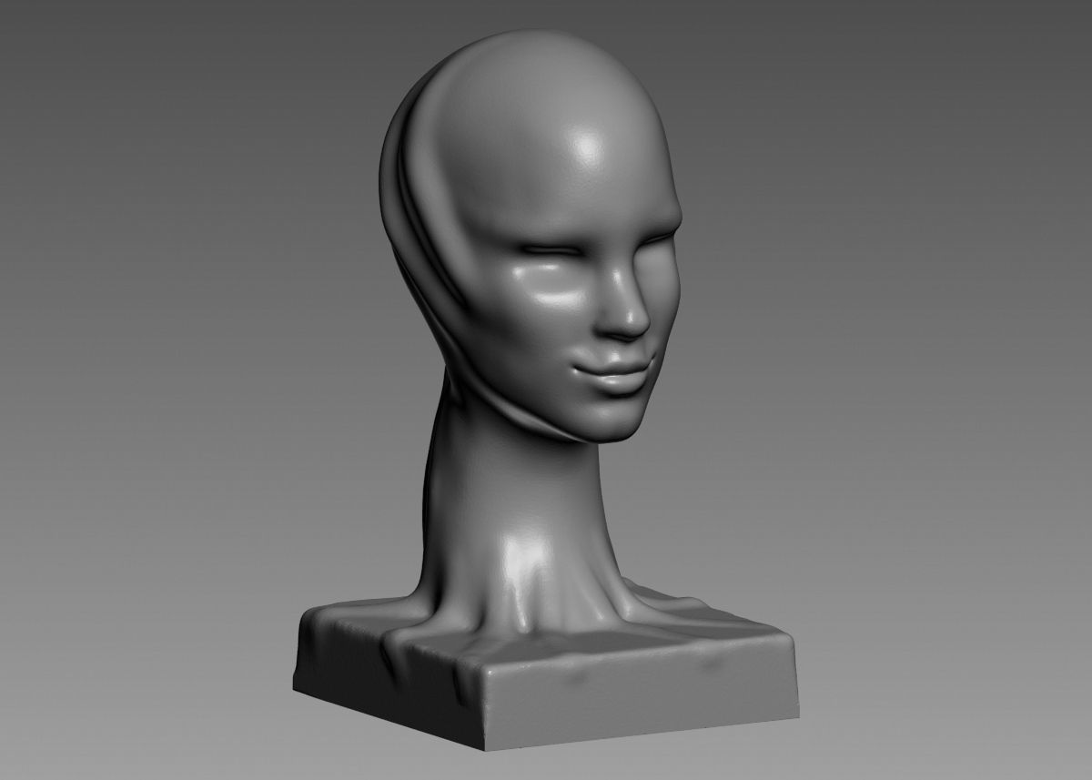 Modern concept head sculpture 3d print model 3D print model_45