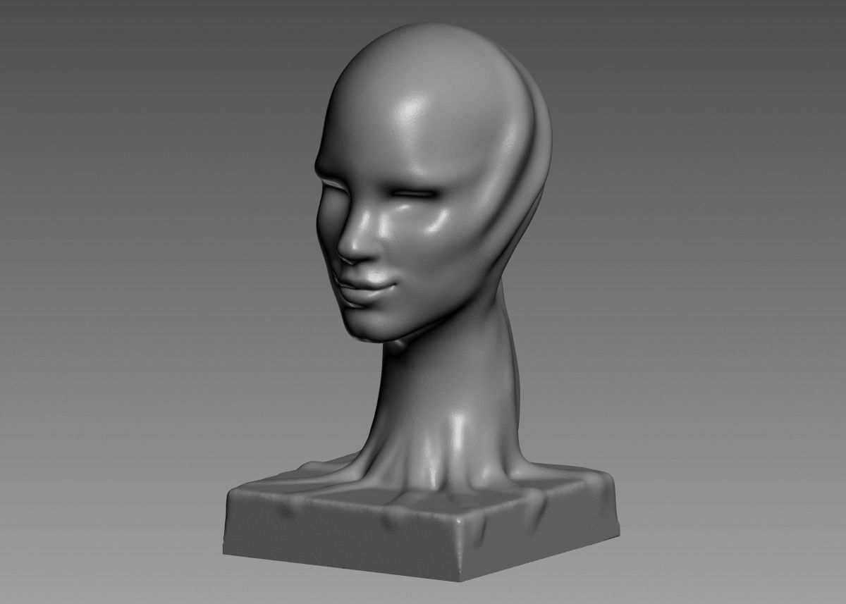 Modern concept head sculpture 3d print model 3D print model_38
