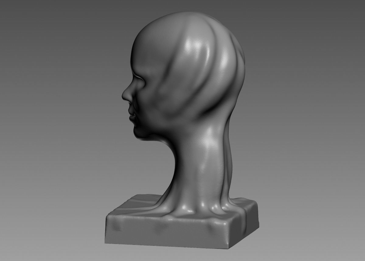 Modern concept head sculpture 3d print model 3D print model_30