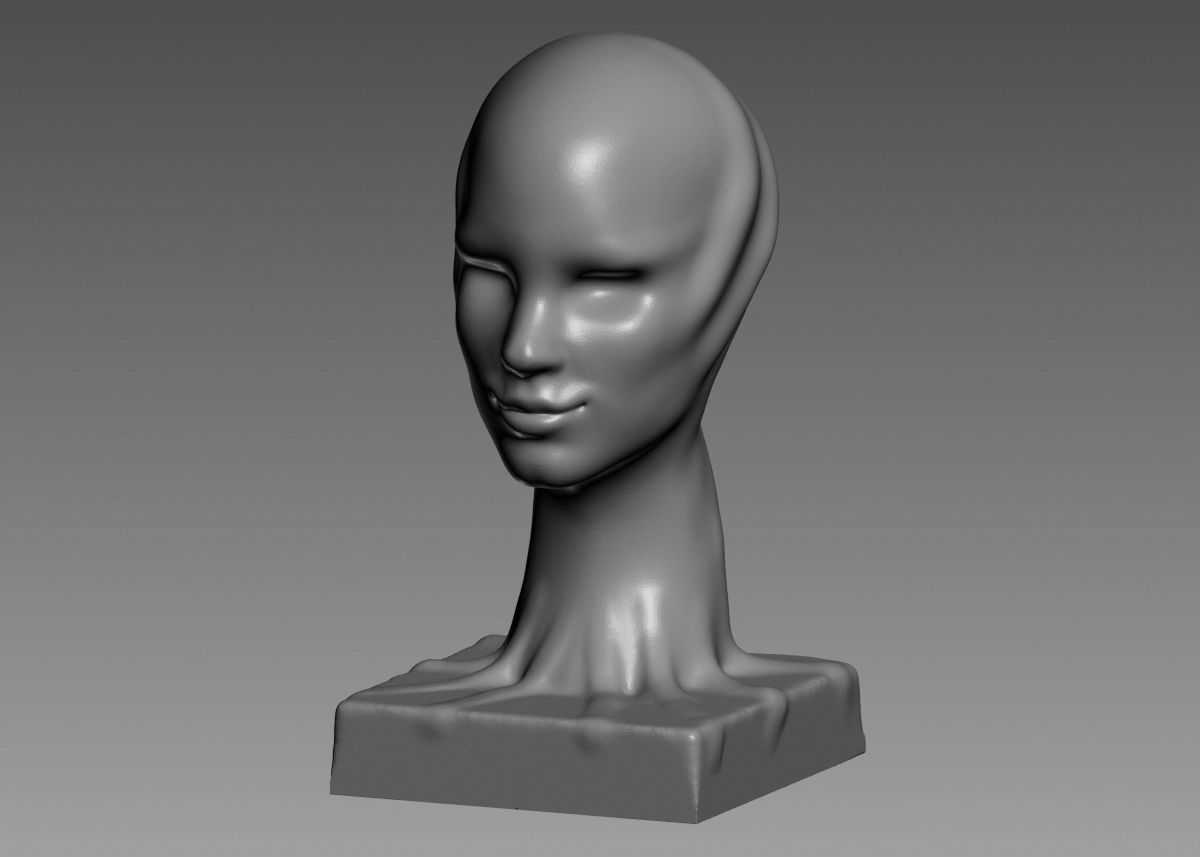 Modern concept head sculpture 3d print model 3D print model_39