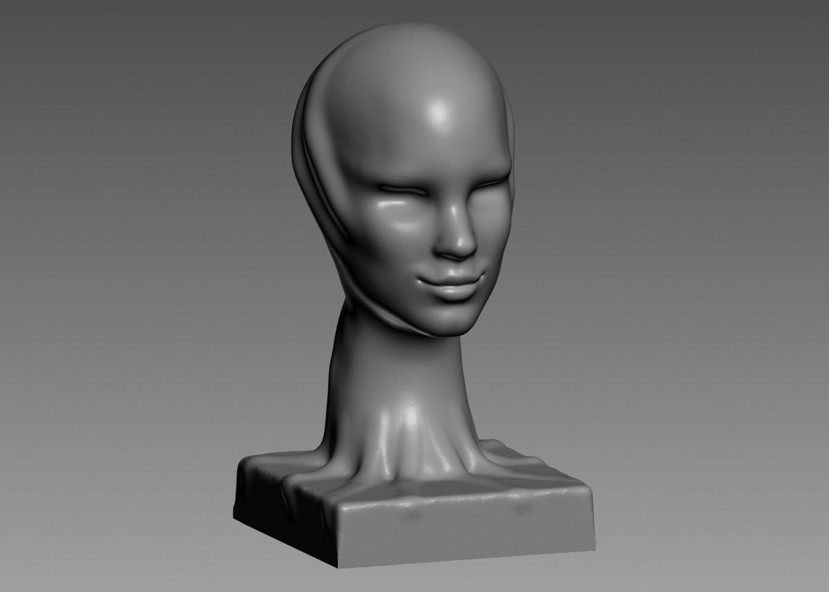 Modern concept head sculpture 3d print model 3D print model_44