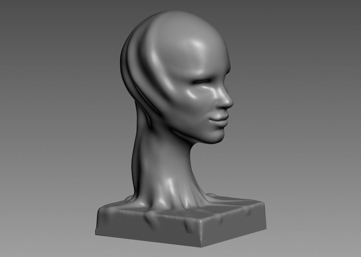 Modern concept head sculpture 3d print model 3D print model_8