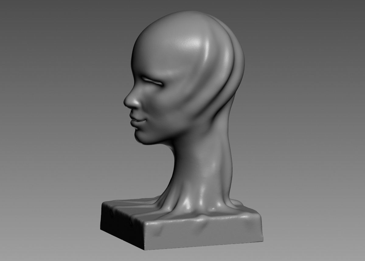 Modern concept head sculpture 3d print model 3D print model_34