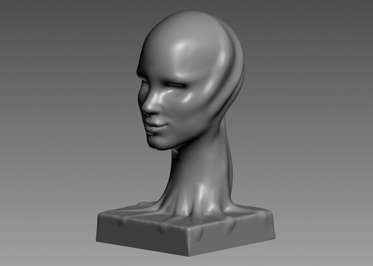 Modern concept head sculpture 3d print model 3D print model_37