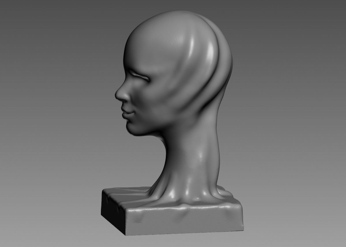 Modern concept head sculpture 3d print model 3D print model_33