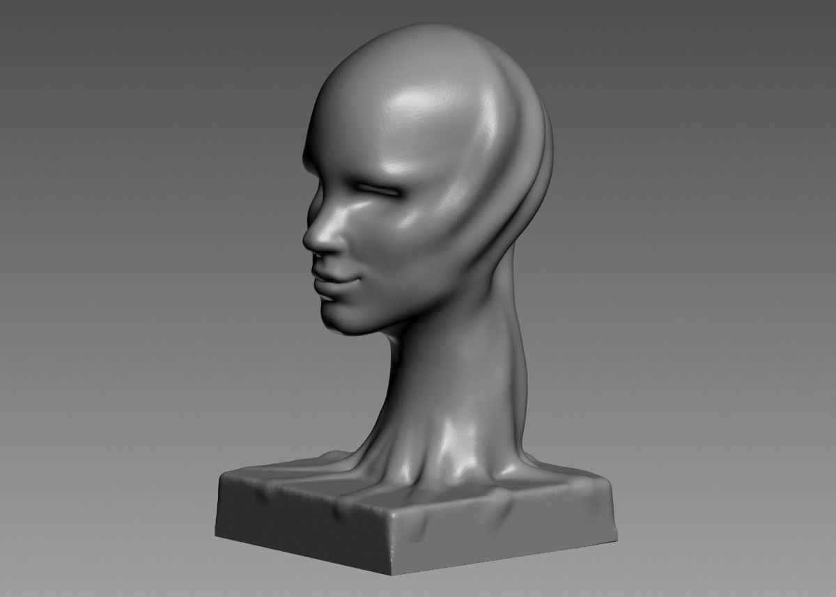 Modern concept head sculpture 3d print model 3D print model_36