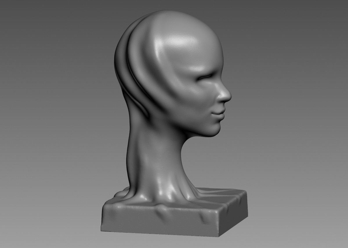 Modern concept head sculpture 3d print model 3D print model_10