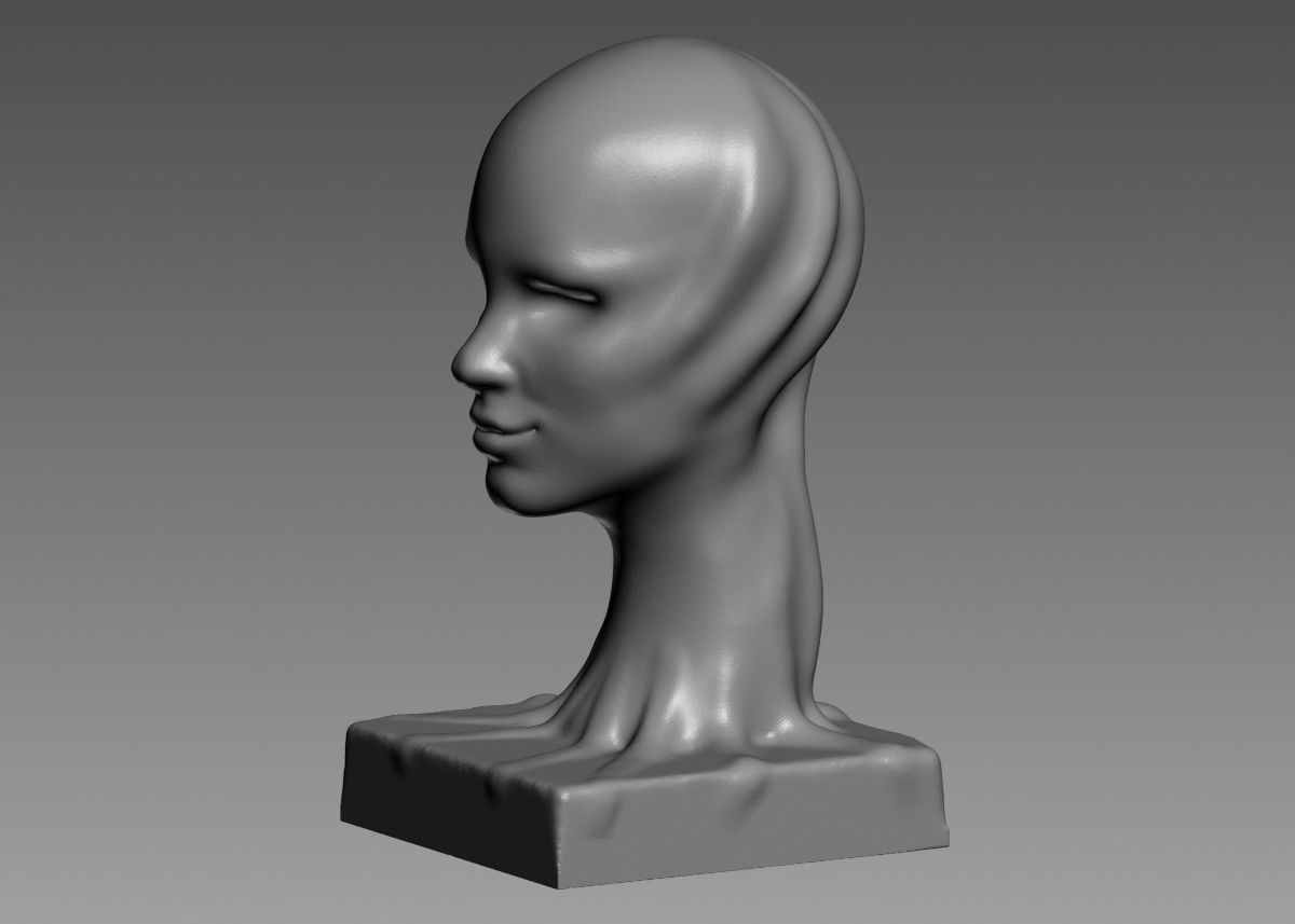 Modern concept head sculpture 3d print model 3D print model_35