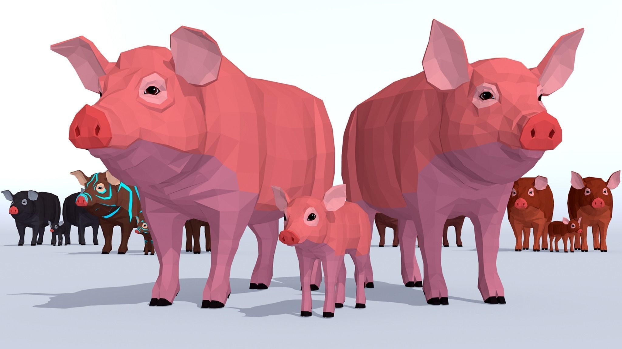 LowPoly Pigs pack Low-poly 3D model_1