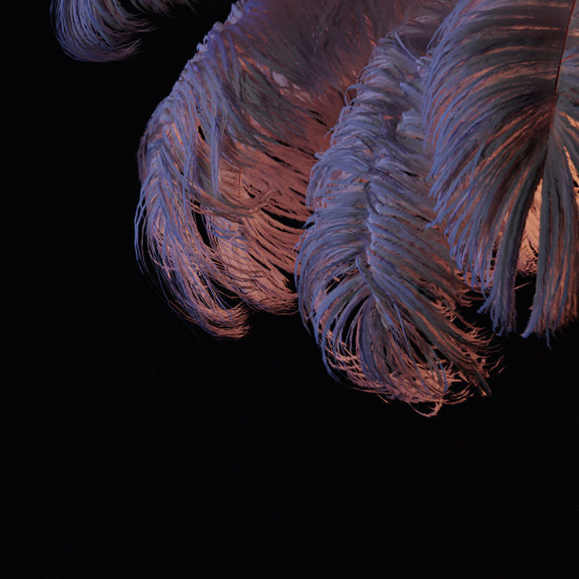 Natural Ostrich Feather Modern Chandelier 3D model_8