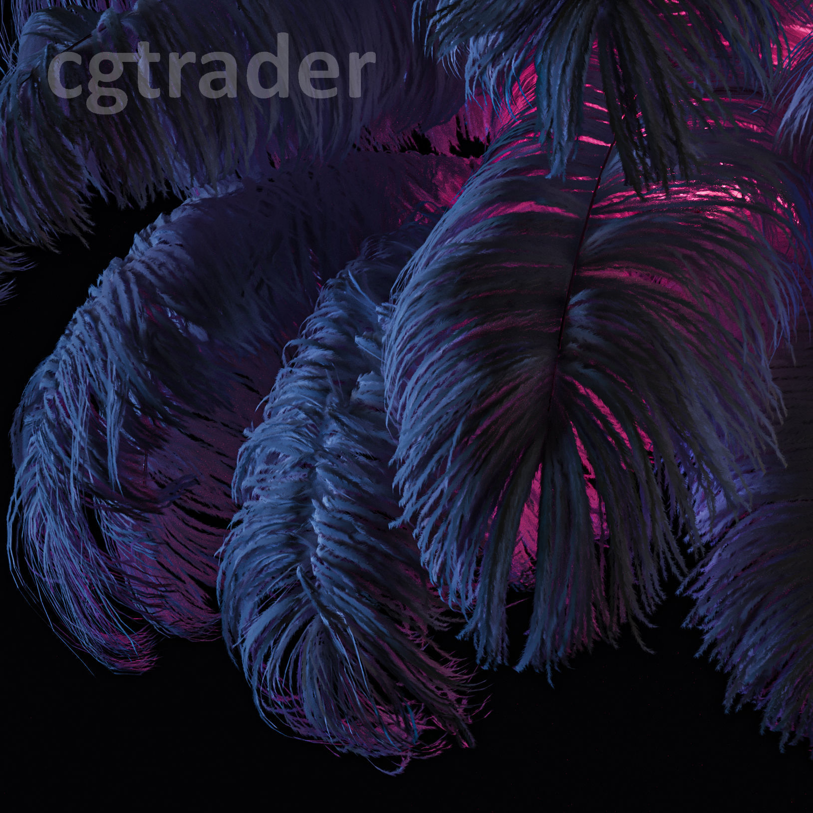 Natural Ostrich Feather Modern Chandelier 3D model_7