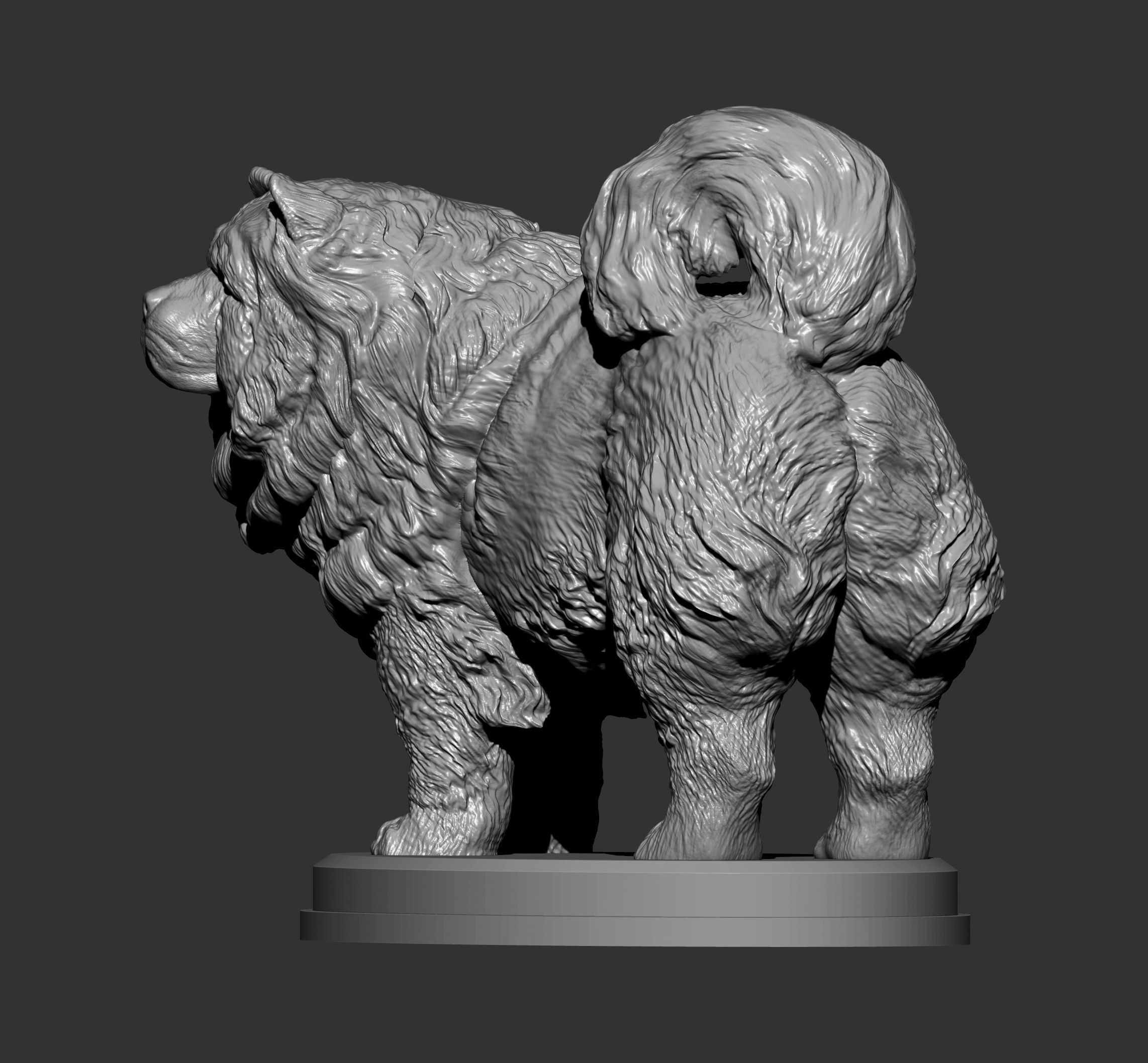 Chow Chow statue of dog 3D print model_2