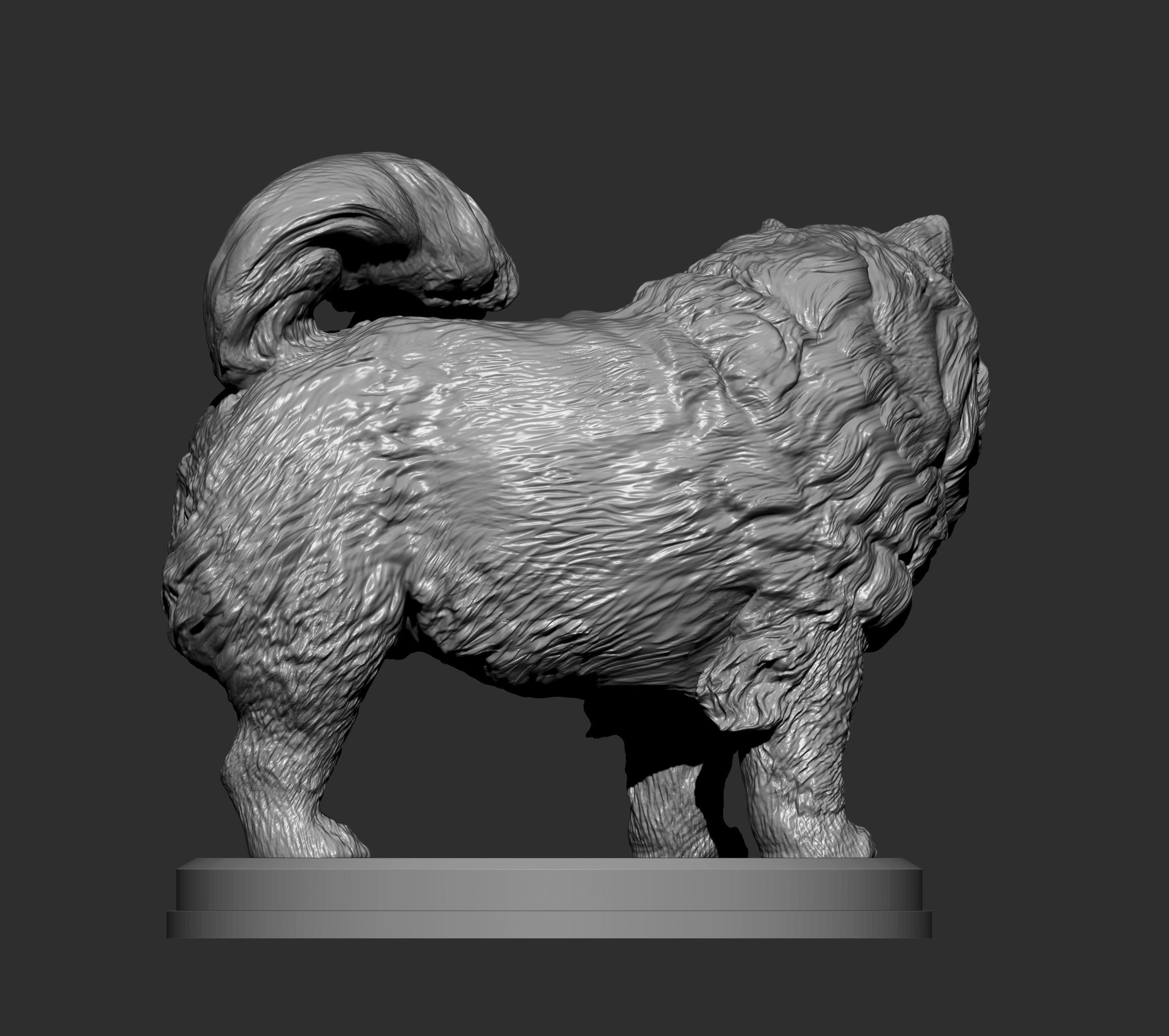 Chow Chow statue of dog 3D print model_4