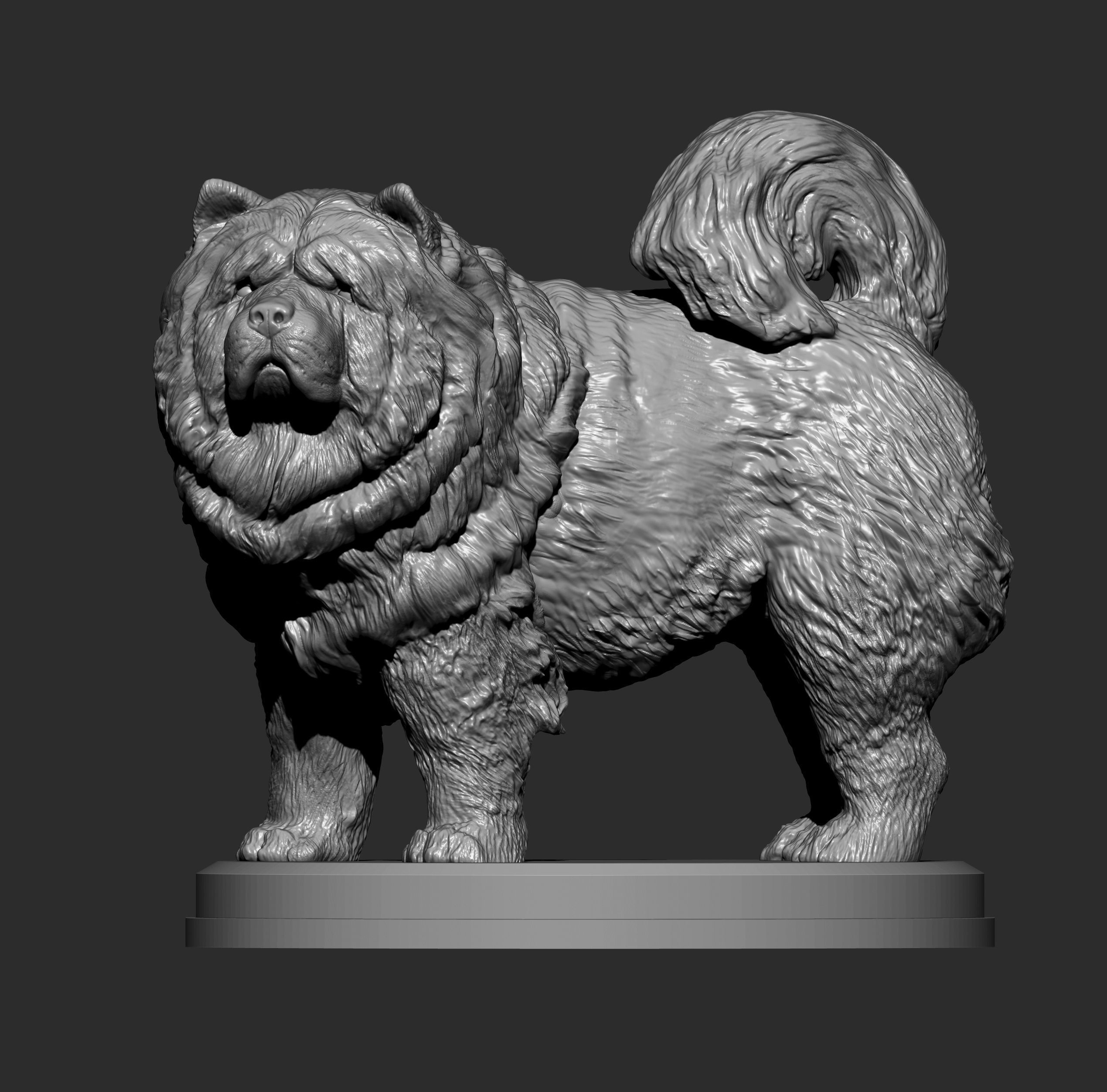 Chow Chow statue of dog 3D print model_1
