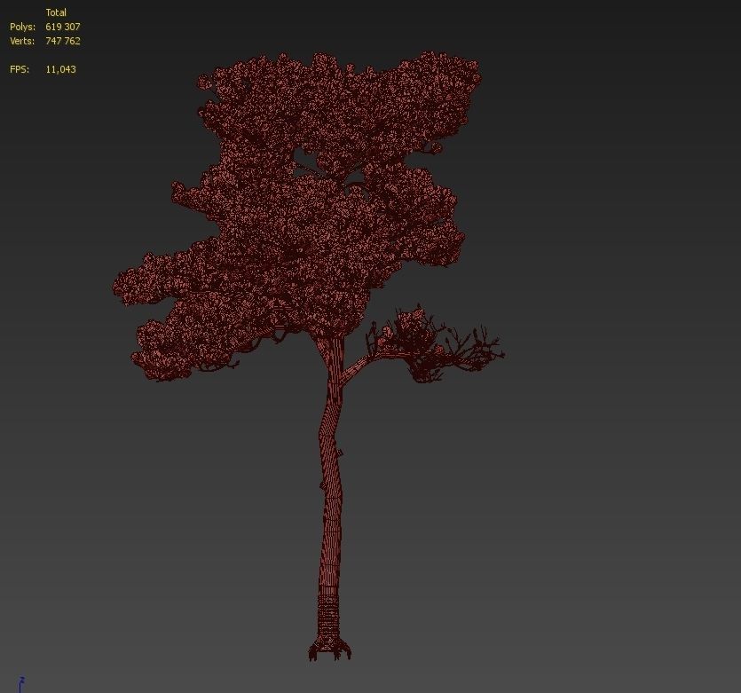 Pine 7 tree 3D model_4