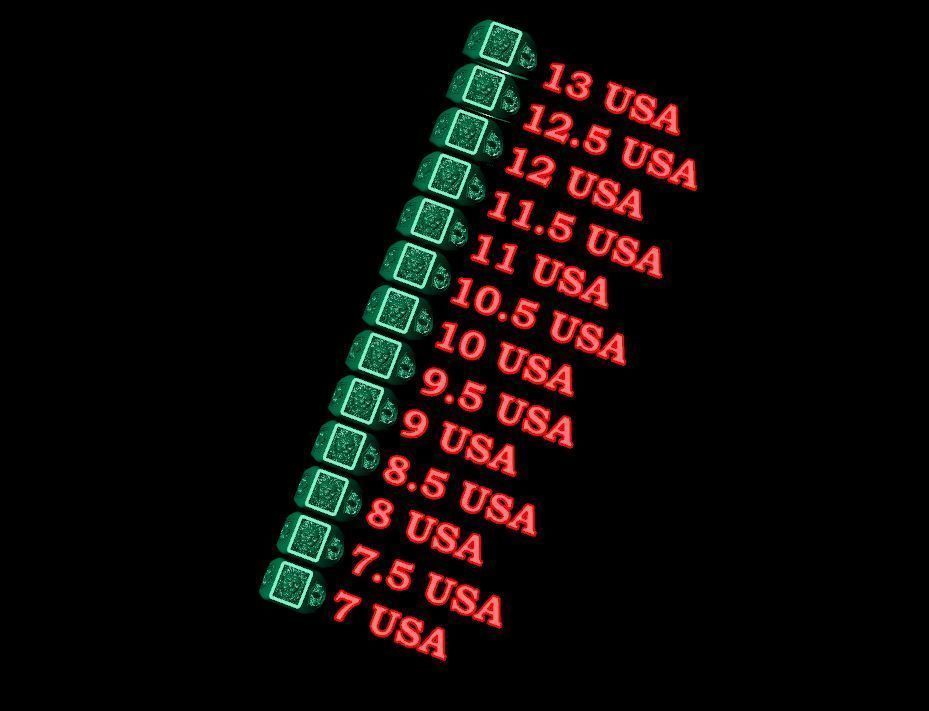 Ring Lion and heraldic lilies 3D print model_7