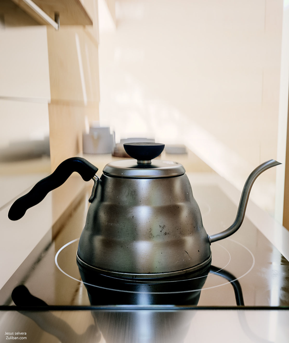 House of Light Corona Version 3D model_22