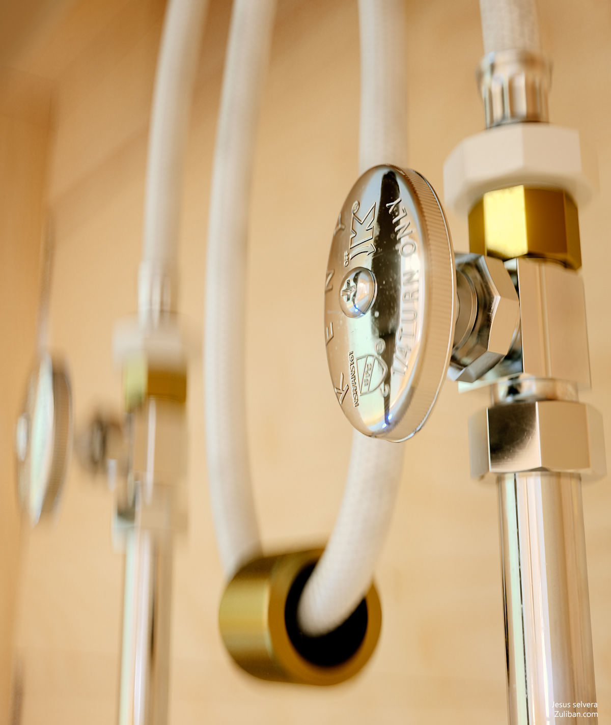 House of Light Corona Version 3D model_21