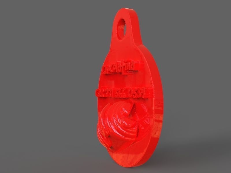 Pet Tag and Pet Jewelry Combo 3D print model_16