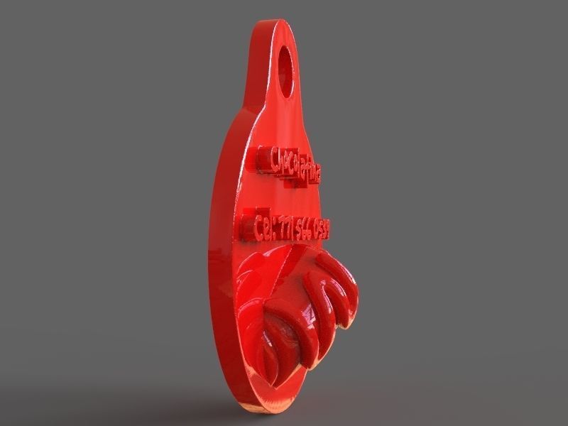 Pet Tag and Pet Jewelry Combo 3D print model_27
