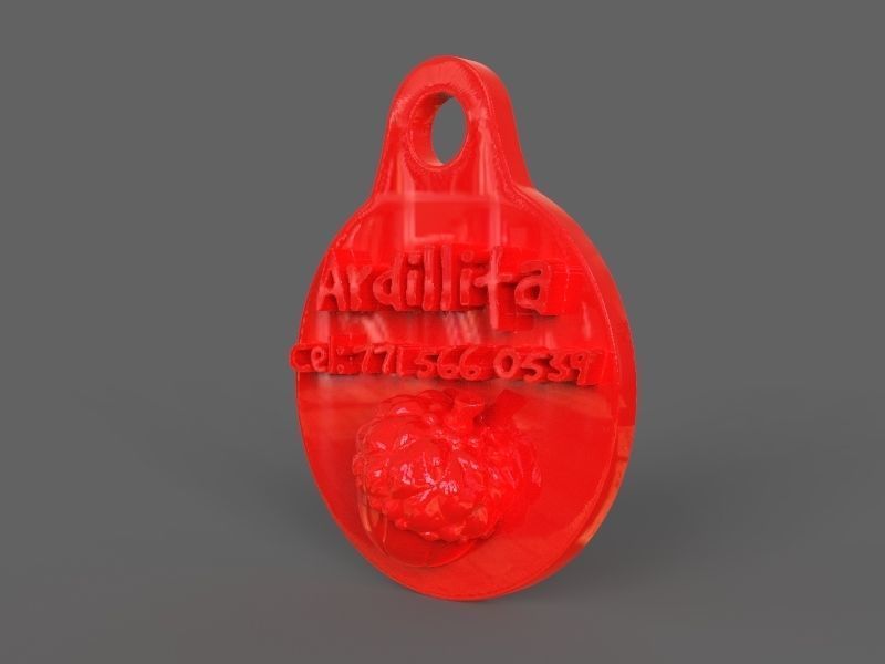 Pet Tag and Pet Jewelry Combo 3D print model_26