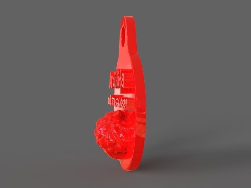 Pet Tag and Pet Jewelry Combo 3D print model_10