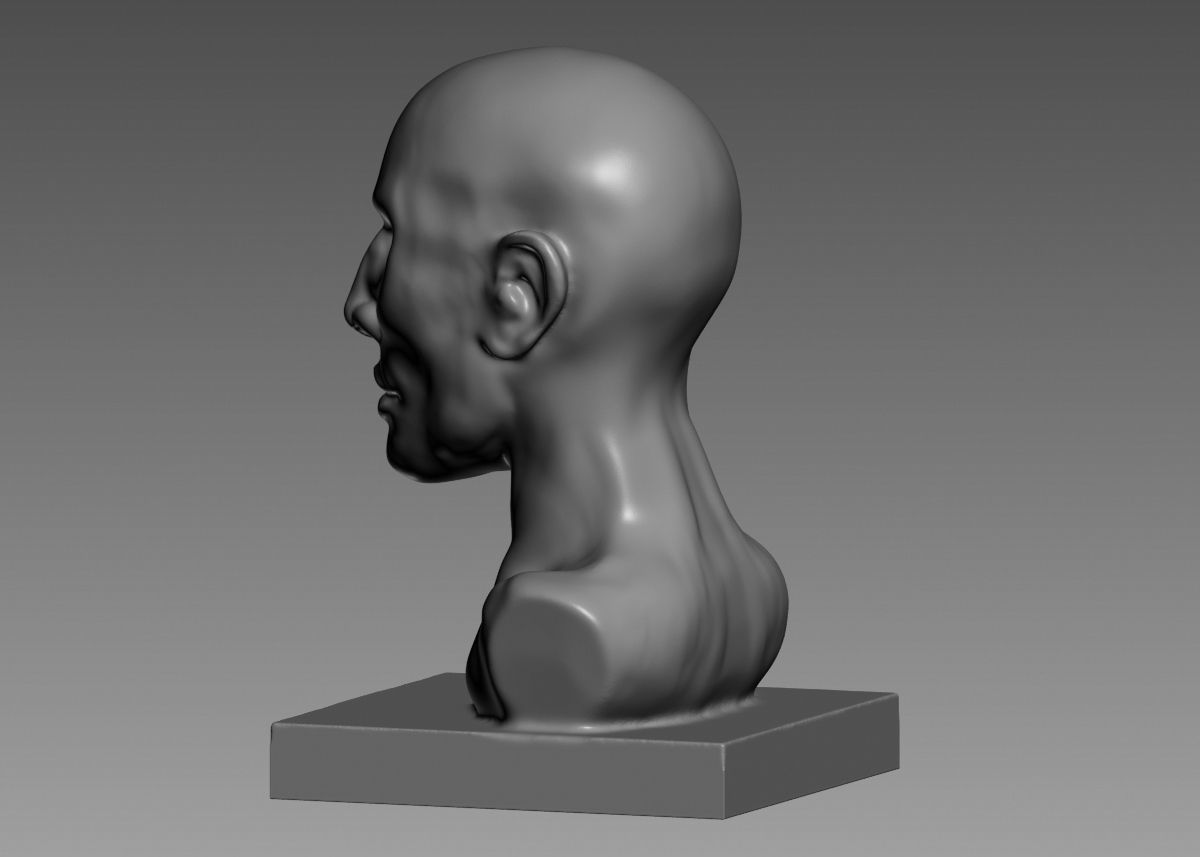 Human head modern sculpture 3d print model 3D print model_34