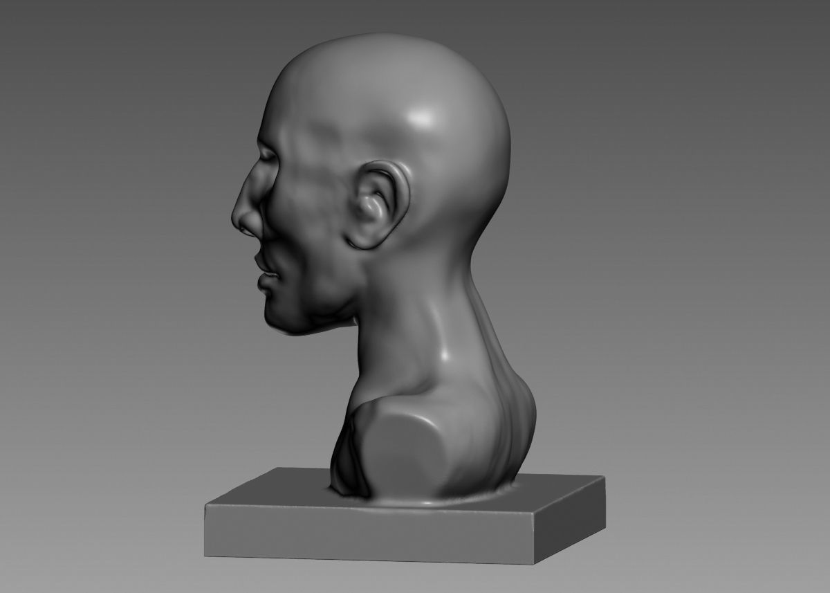 Human head modern sculpture 3d print model 3D print model_35