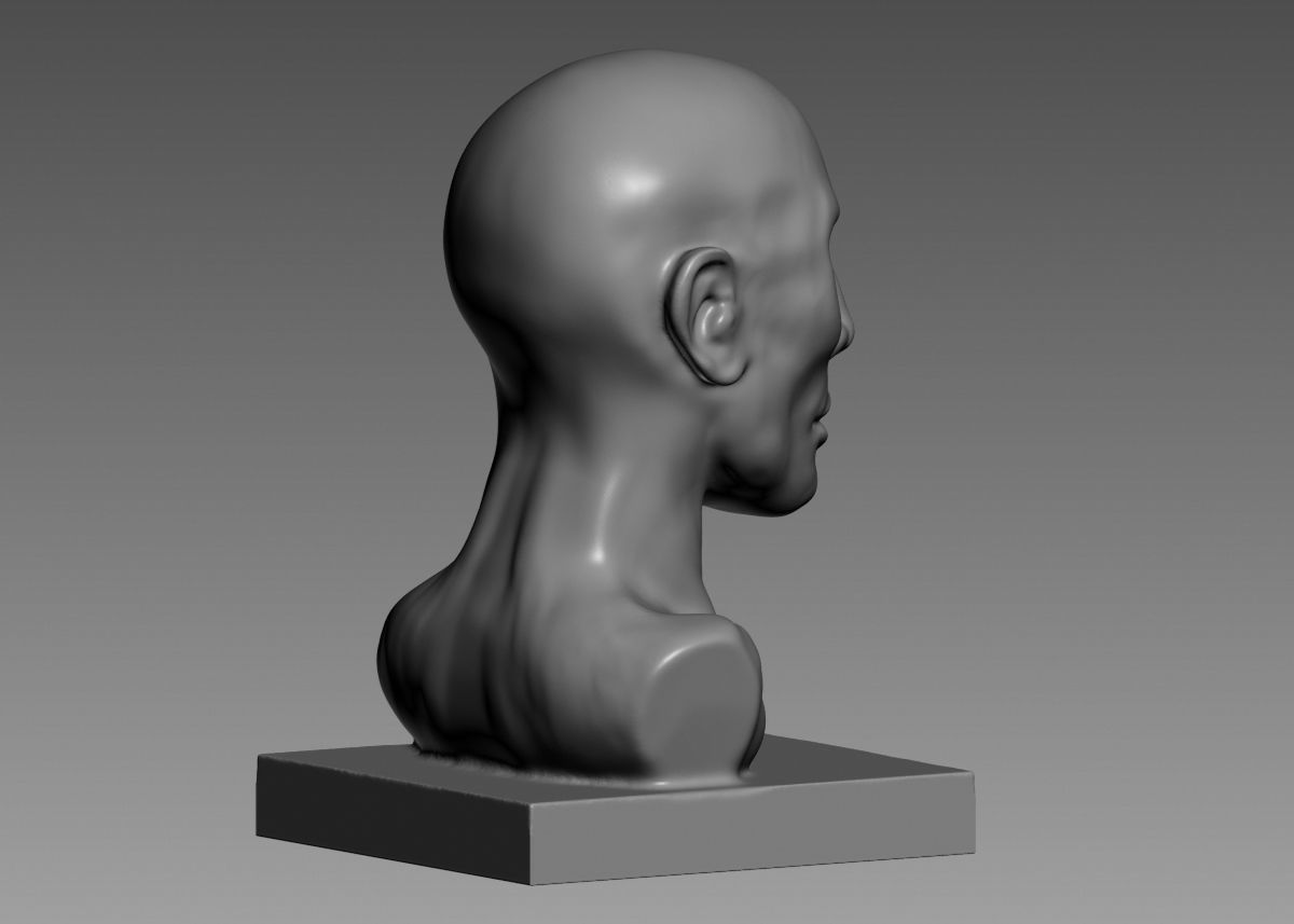 Human head modern sculpture 3d print model 3D print model_20