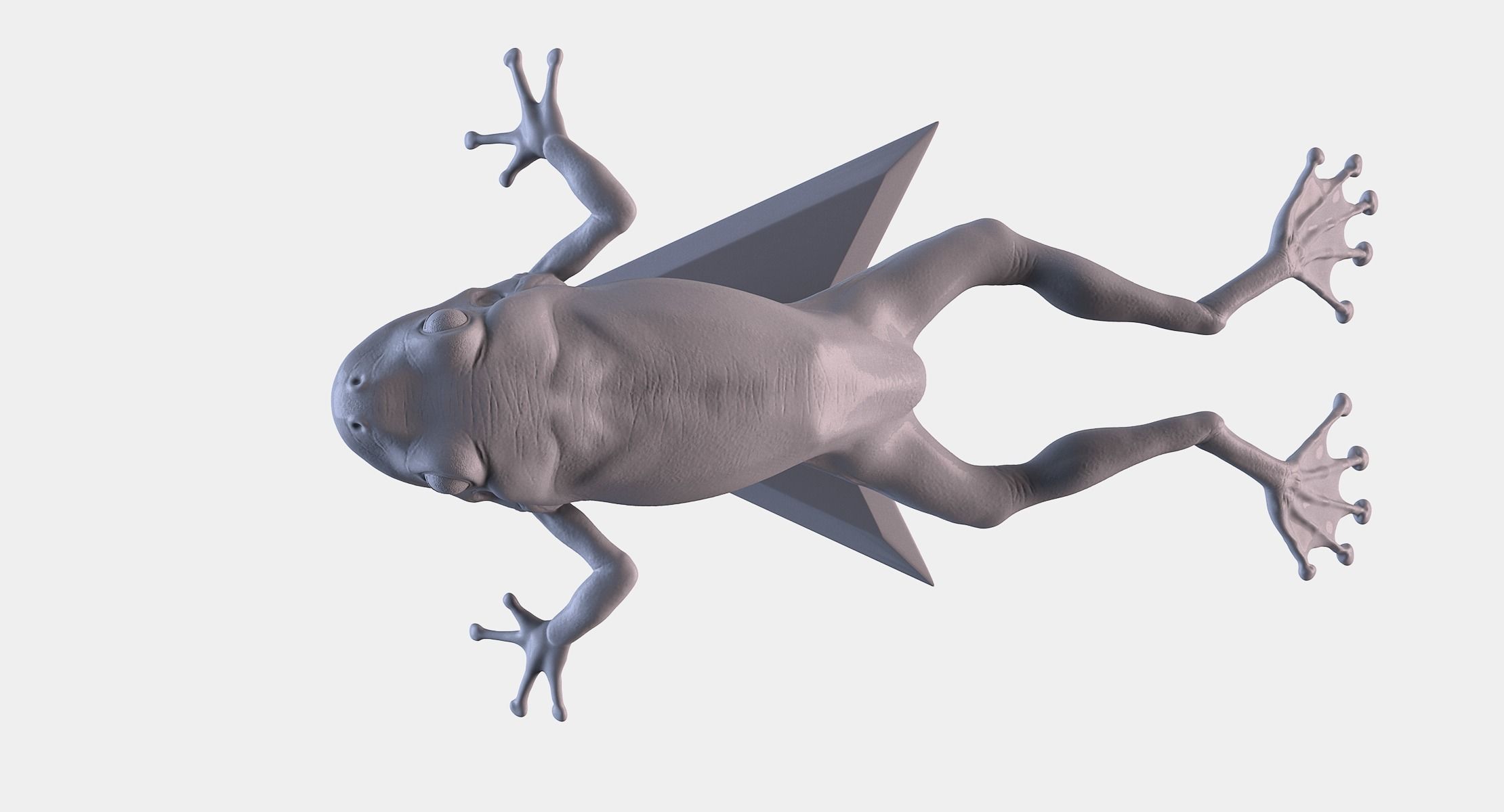 Frog 3D Printing 3D print model_8
