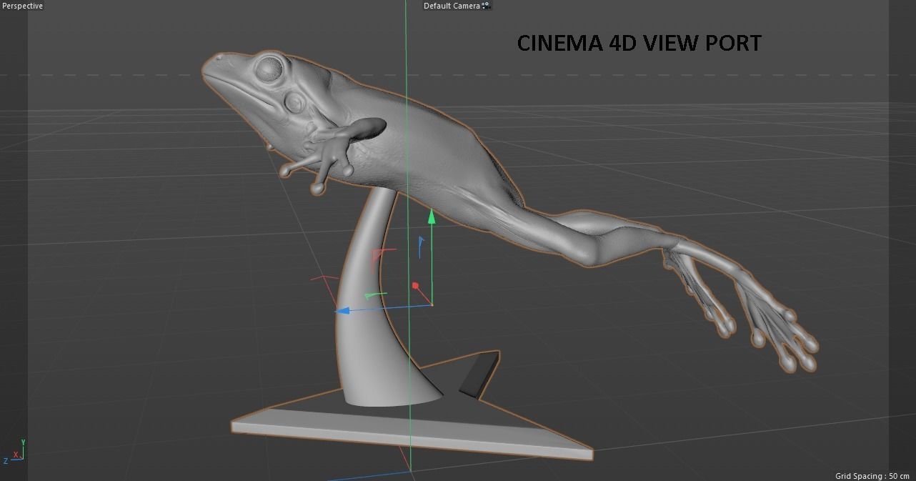 Frog 3D Printing 3D print model_12