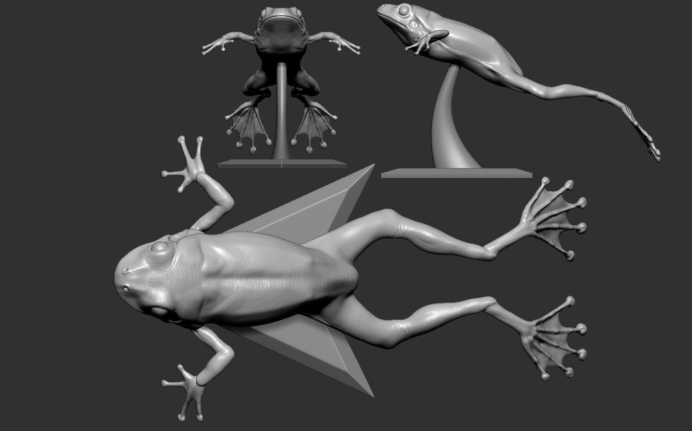 Frog 3D Printing 3D print model_13
