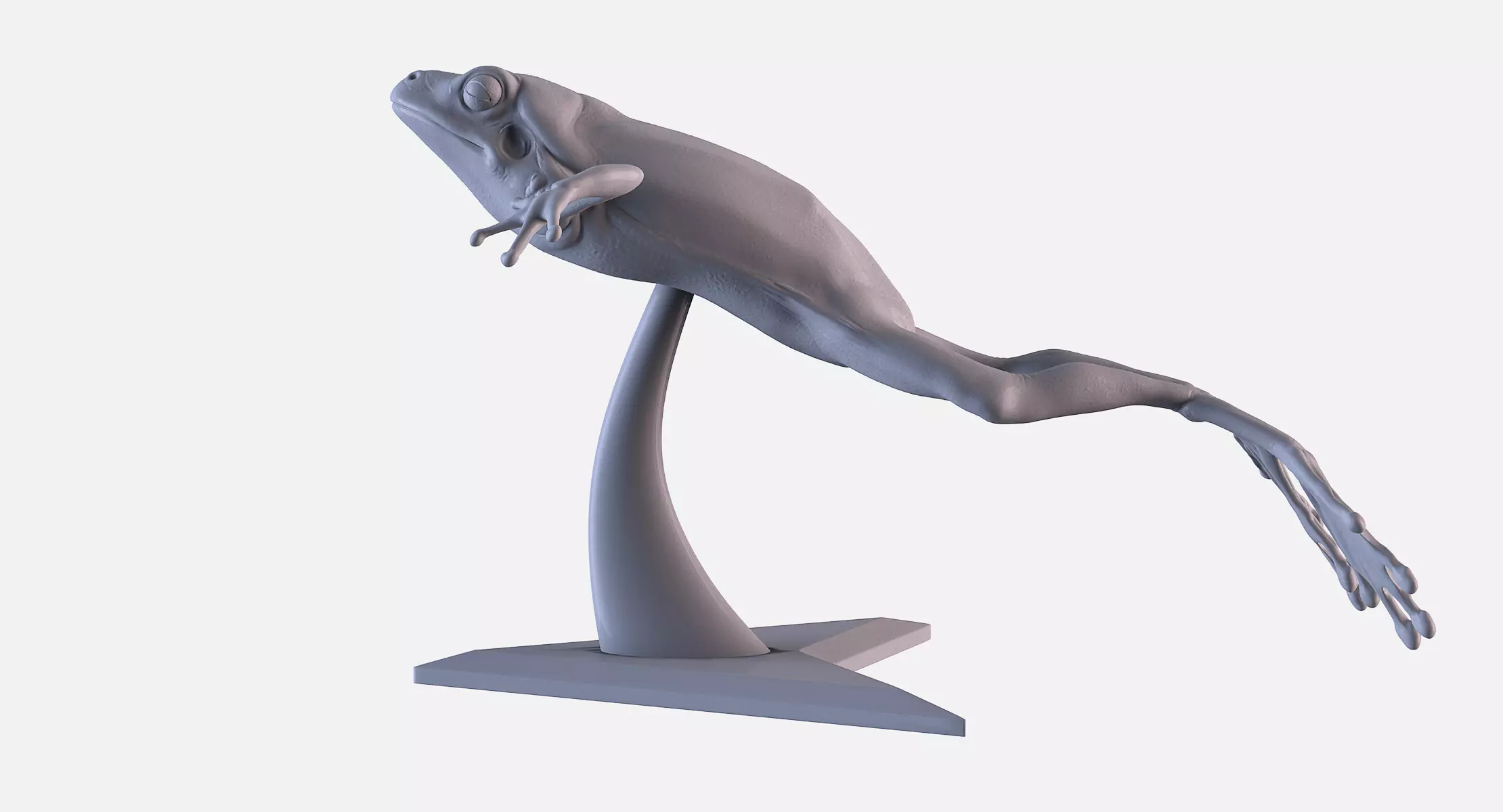 Frog 3D Printing 3D print model_0