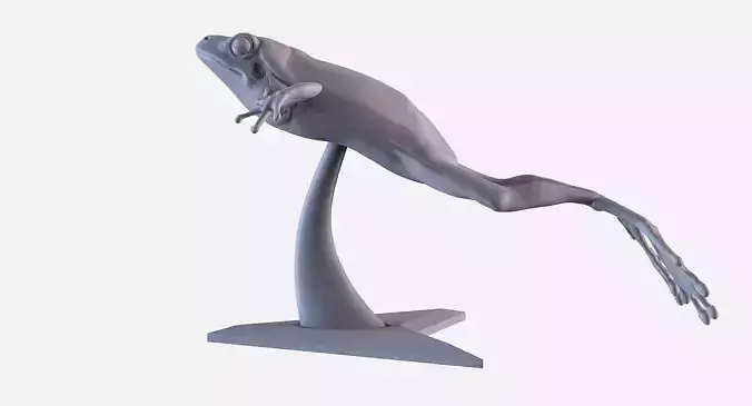 Frog 3D Printing 3D print model