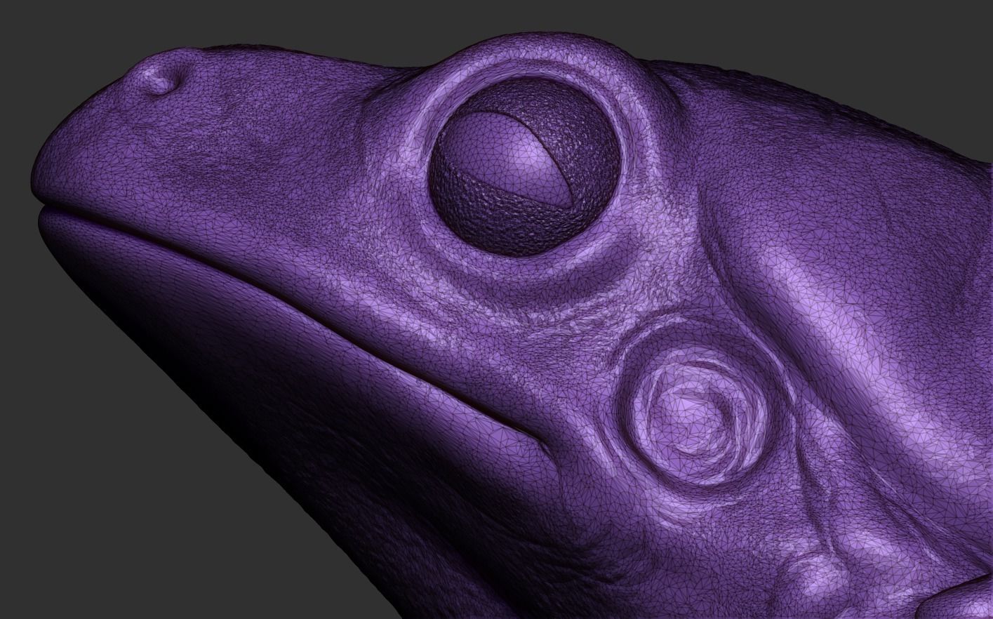 Frog 3D Printing 3D print model_19