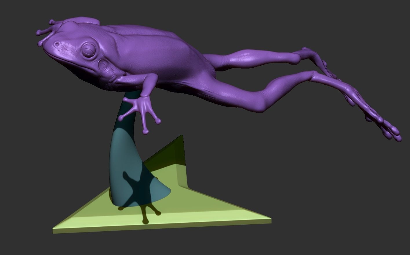 Frog 3D Printing 3D print model_14