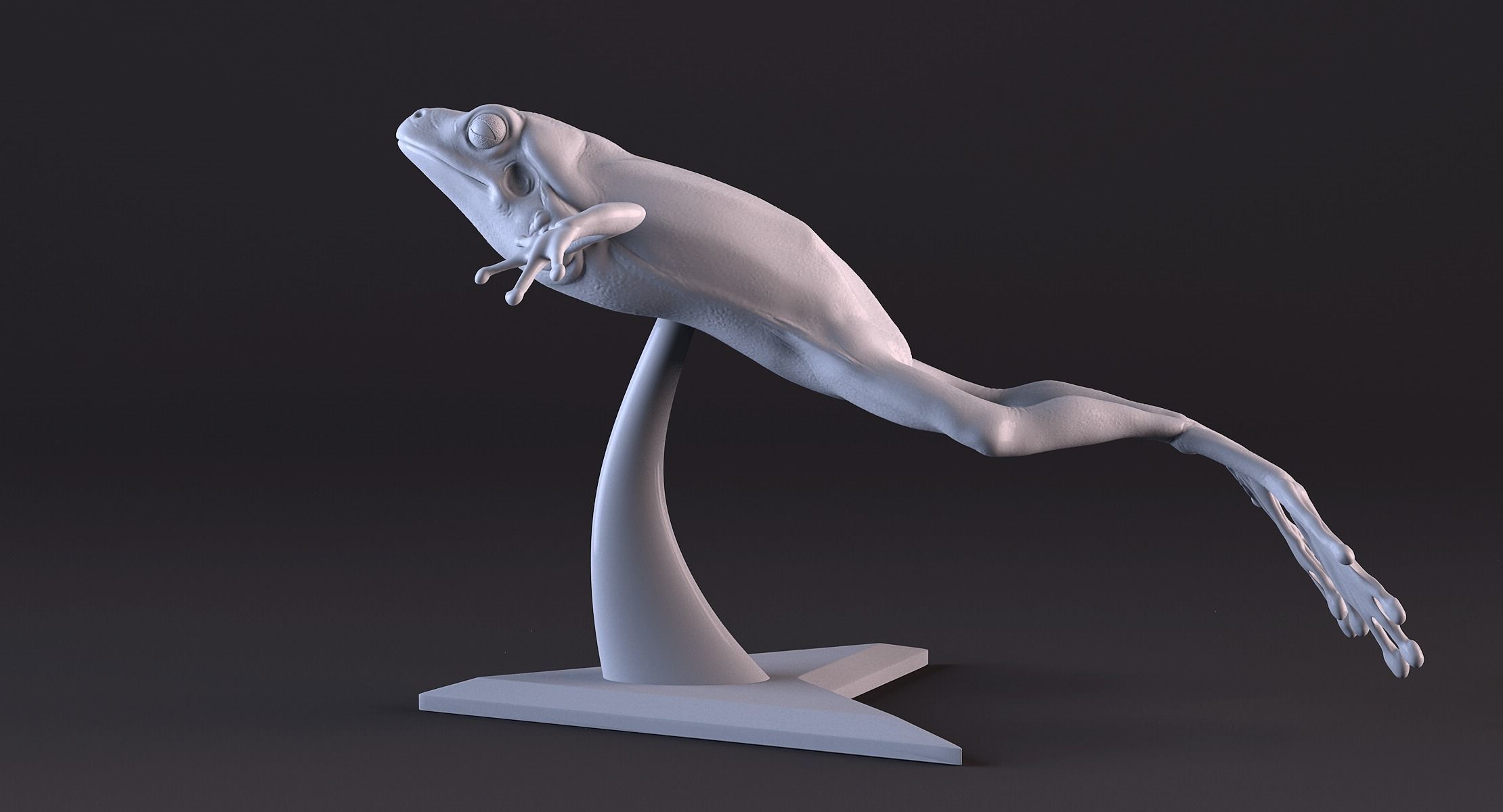Frog 3D Printing 3D print model_11
