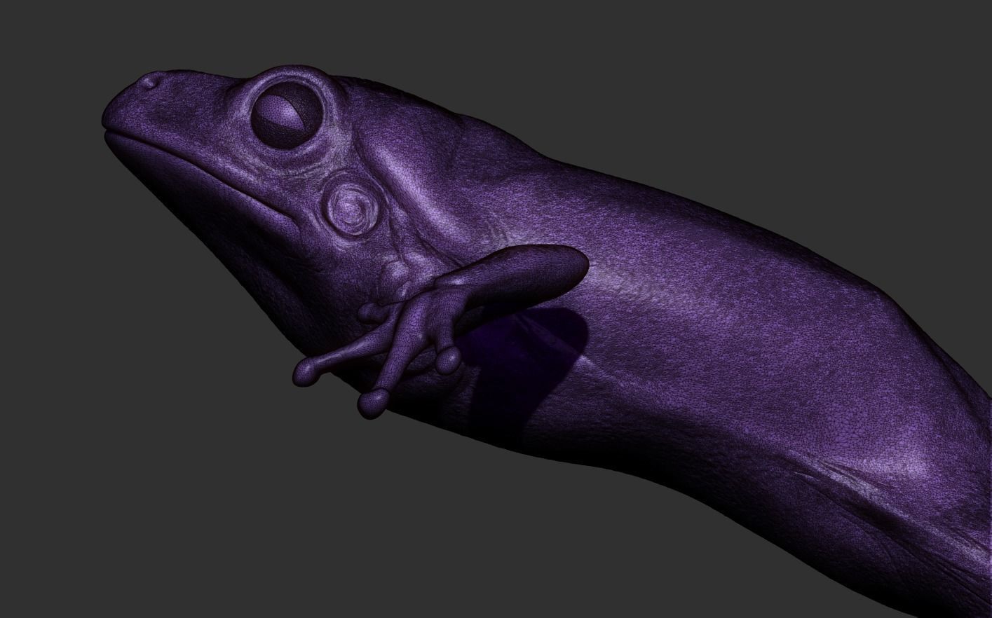 Frog 3D Printing 3D print model_17