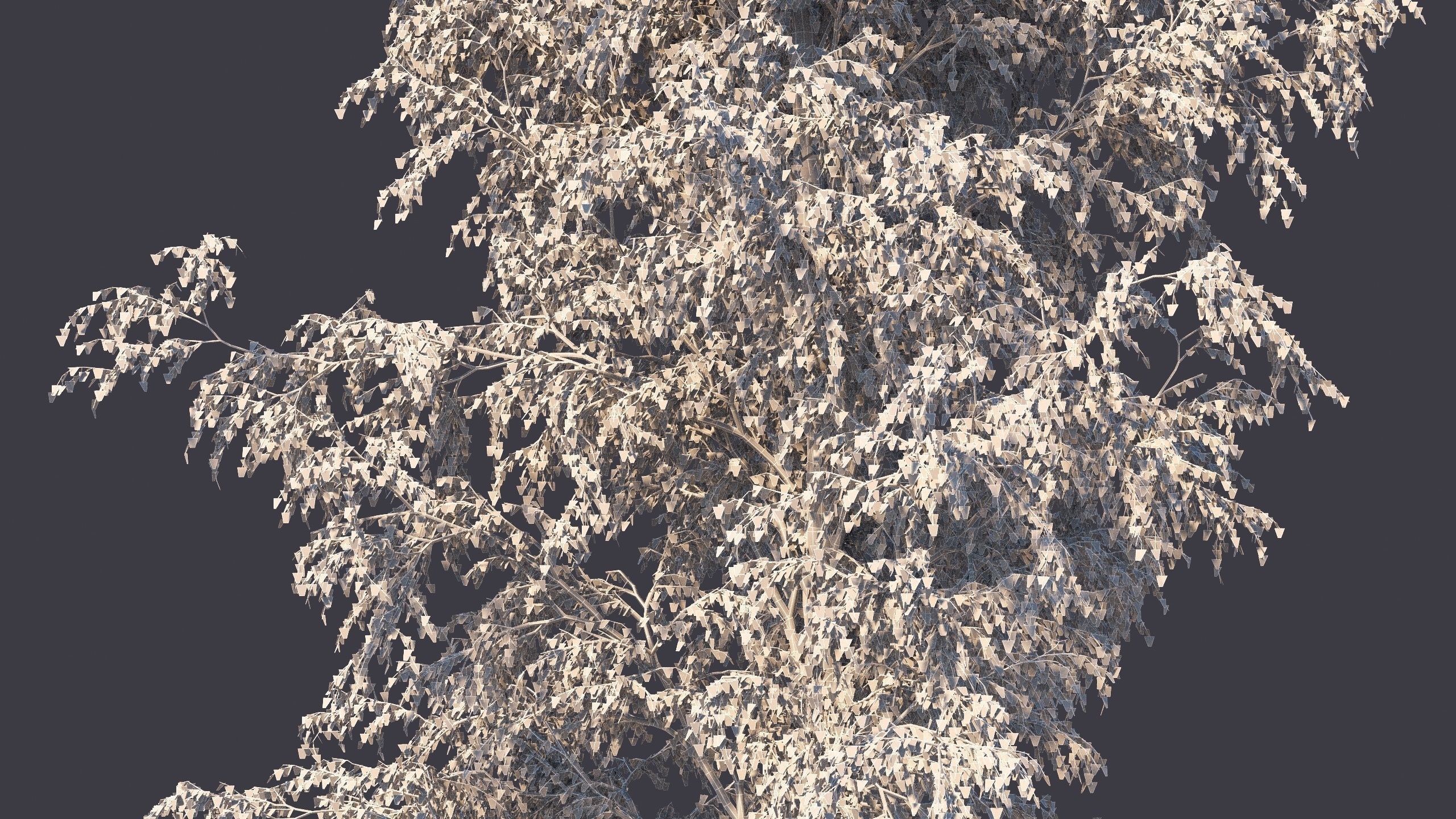 Autumn and summer birches 3D model_10