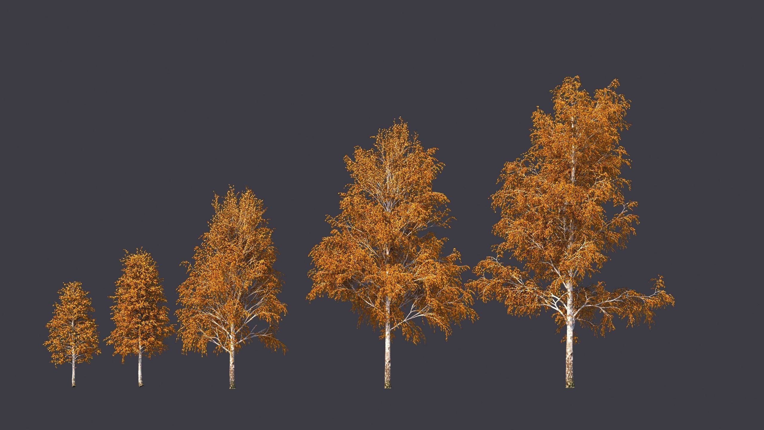 Autumn and summer birches 3D model_4